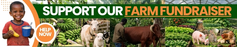 Green Orange Modern Bold Open Charity YouTube Ad